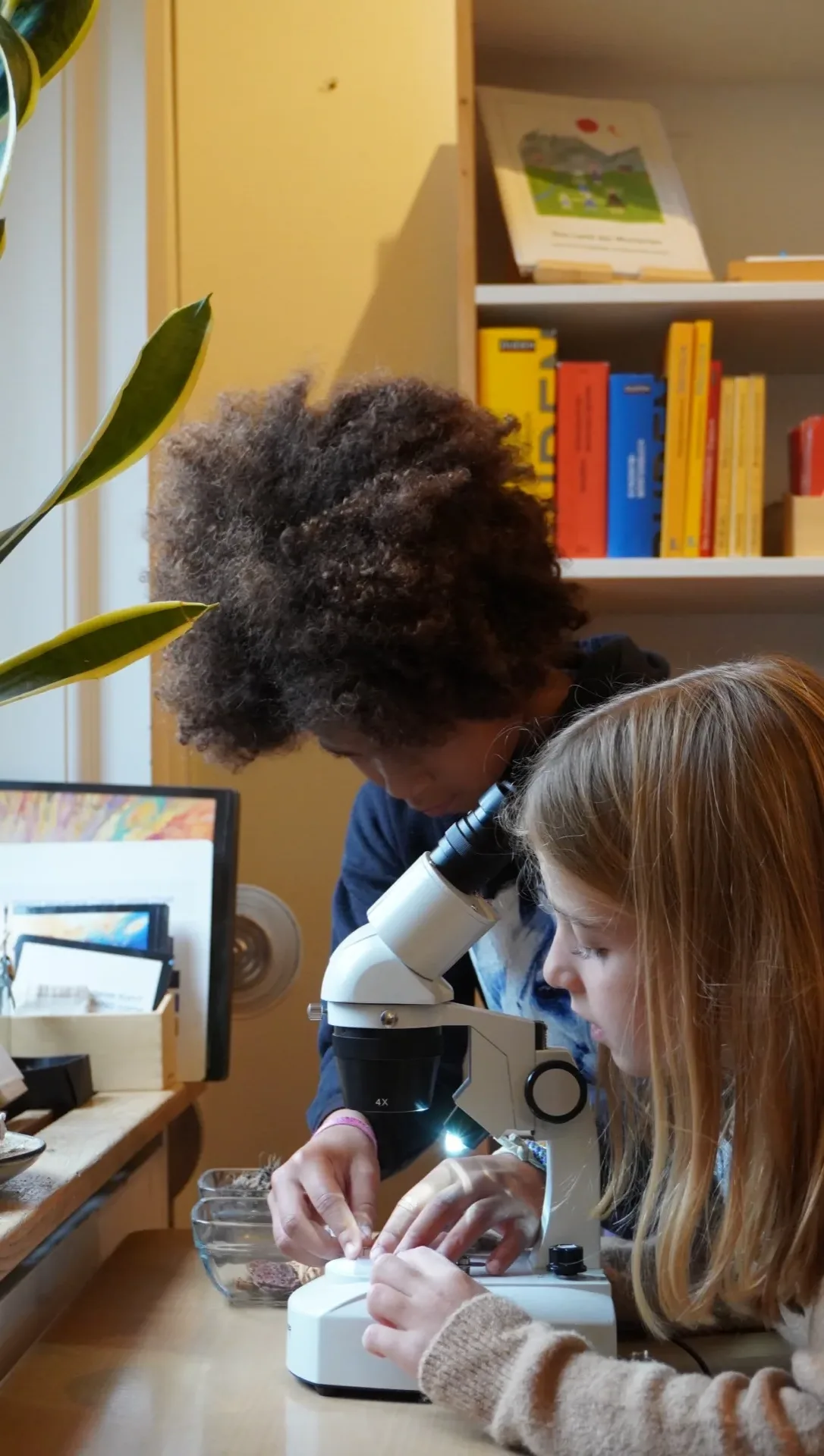 Montessori-Curriculum plus Lehrplan 21